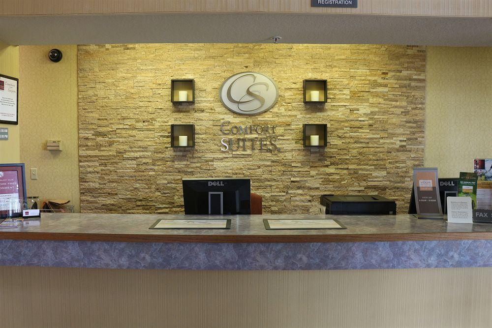 Comfort Suites Нью Браунфелс Экстерьер фото